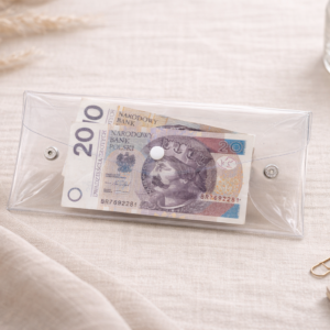 Alternative view of Transparentne etui budżetowe